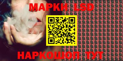 амф Гатчина